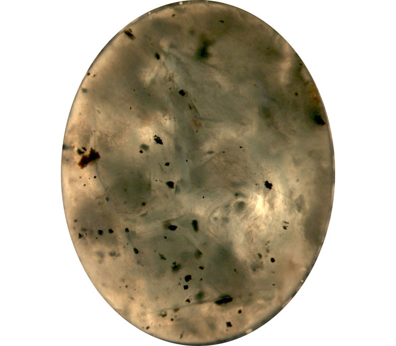 Inclusions