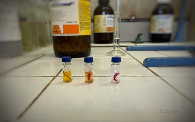 Stage colorant SERS RAMAN